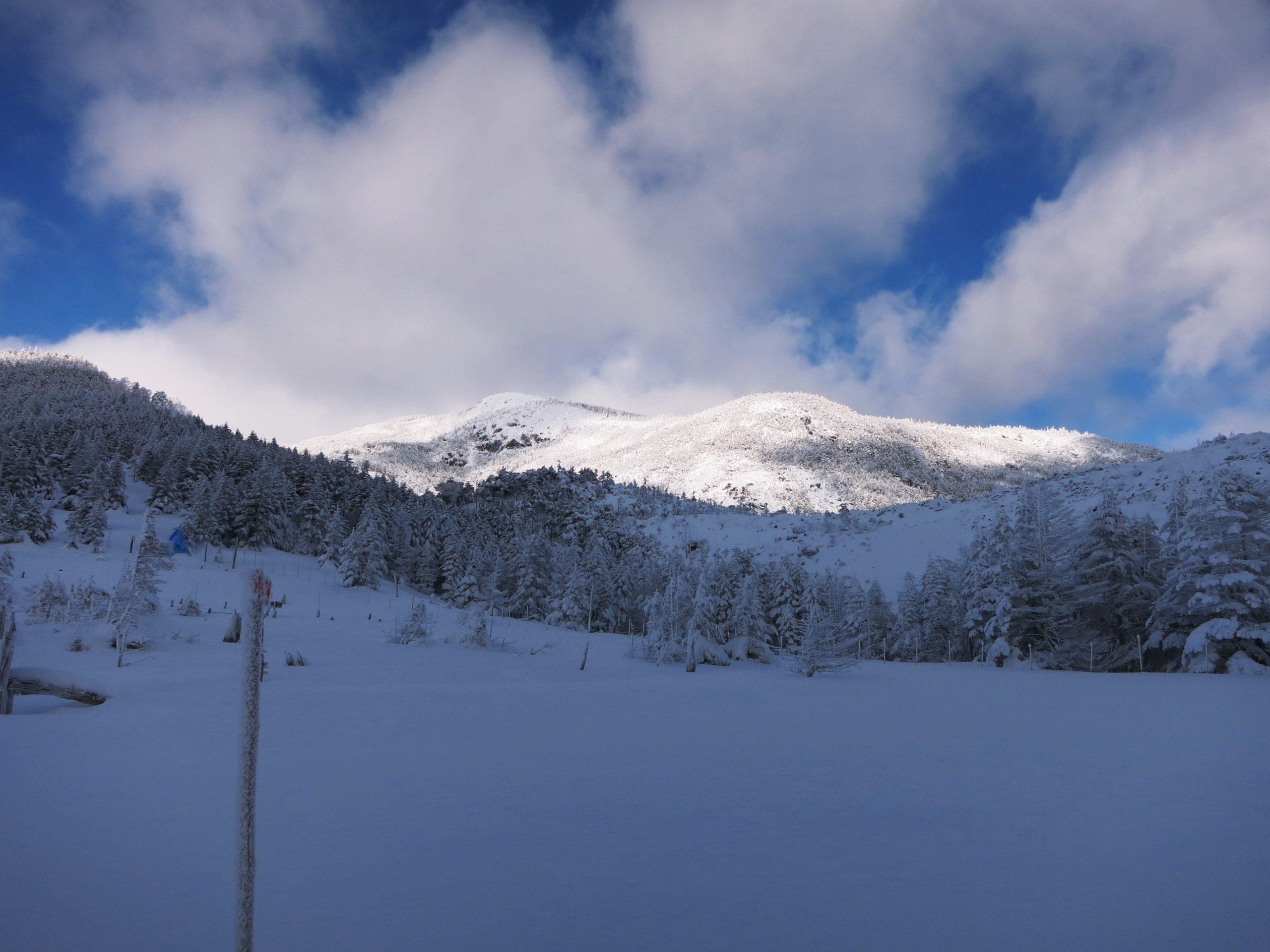 中止 パーソナル山行 北八ヶ岳 北横岳 初級 雪山 1 29 30 一般社団法人 大阪府山岳連盟