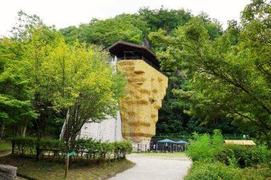 大阪府民の森ほしだ園地にあるクライミングウォ―ルが体験できます
